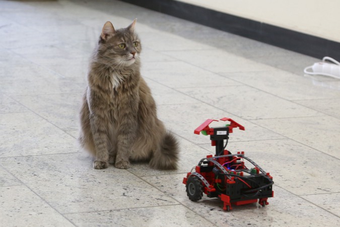 Робот и кошка Лиза
